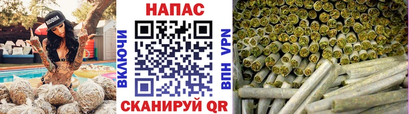 Канабис MAZAR  Купить  Павловский Посад 